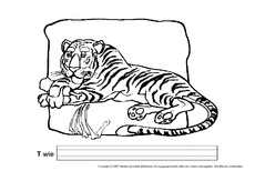 T-wie-Tiger.pdf
